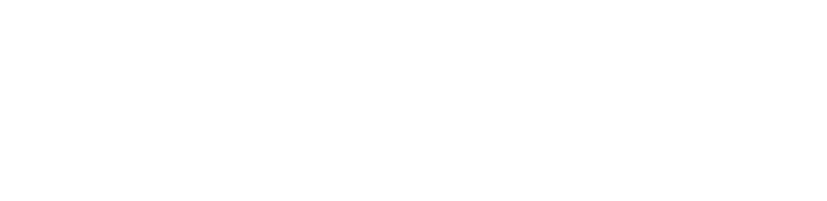 provider
